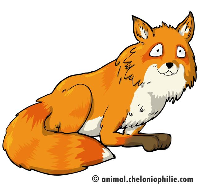 animal