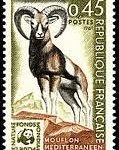 Timbre mouflon