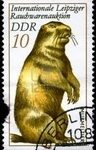 timbre marmotte